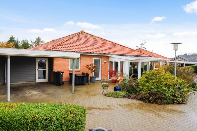 Skorpionens Kvarter 66